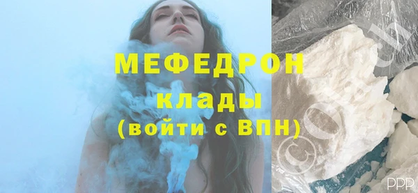 индика Елизово