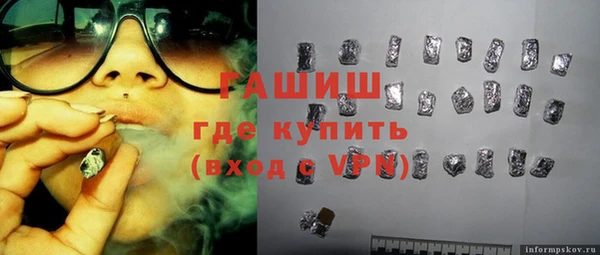 индика Елизово