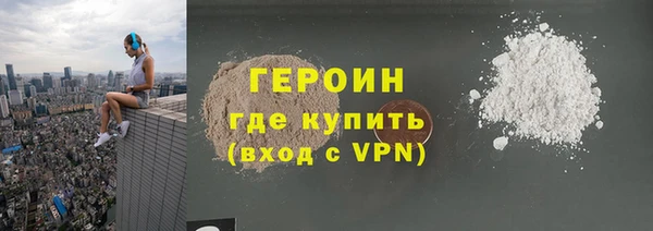 индика Елизово