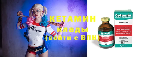 индика Елизово