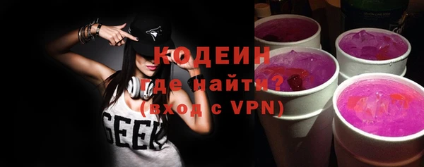индика Елизово