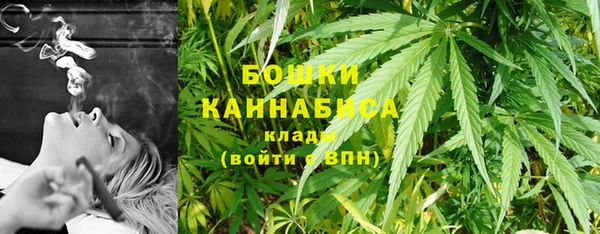 амф Дмитровск