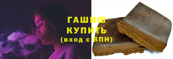 индика Елизово