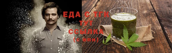 индика Елизово