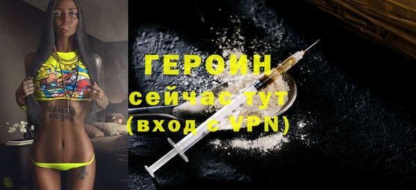 индика Елизово