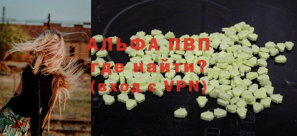 индика Елизово