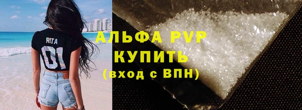 дмт Дмитриев