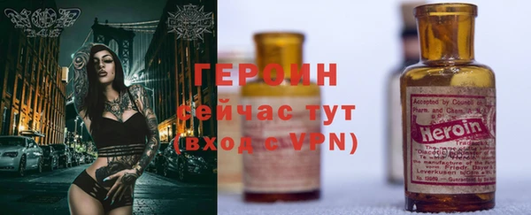 индика Елизово