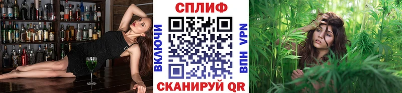 Марихуана планчик  Купить закладки  Истра 